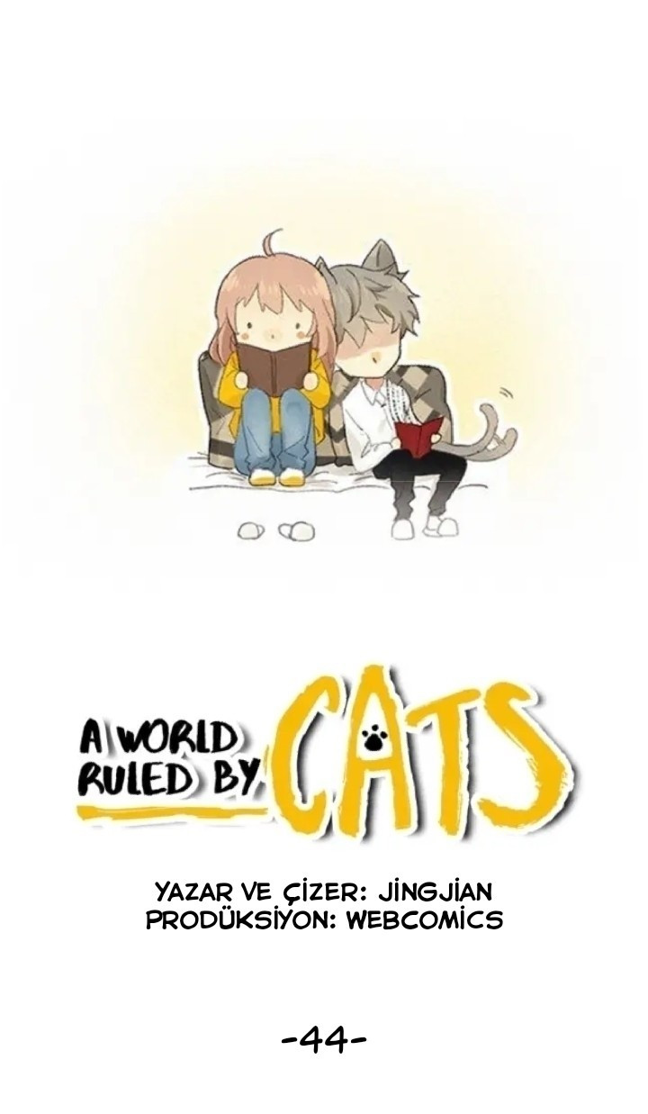 A World Ruled by Cats - Bölüm 44 - MangaDrop - Anime izle, Webtoon, Manga  ve Novel oku